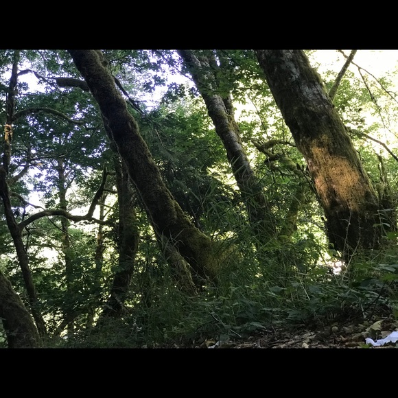 Meet your Posher, Josh - Picture 1 of 1